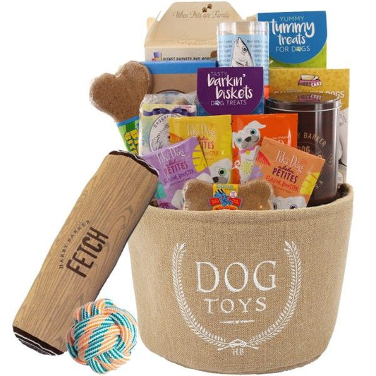 Classic Dog Toy Bin and Treats