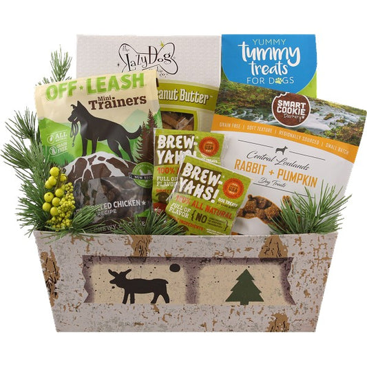 Outdoor Adventure Holiday Dog Gift