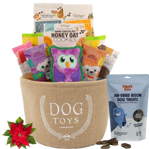 Toy Bin and Treats for Two Holiday Dog & Owner Gift